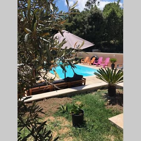 Logement Attenant A Une Villa T2 Avec Terrasse . Besse-sur-Issole Eksteriør billede